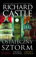 Ostateczny Sztorm - ebook