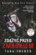 Zdążyć przed zmrokiem - ebook