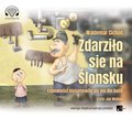 Zdarziło sie na Ślonsku. Łopowieści niysamowite niy ino dlo bajtli - audiobook