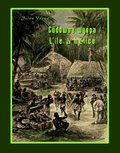 Cudowna wyspa. L’Île à hélice - ebook