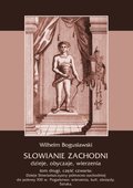 Słowianie Zachodni: dzieje, obyczaje, wierzenia, tom drugi, część czwarta: Dzieje Słowiańszczyzny północno-zachodniej do połowy XIII wieku. Pogaństwo: wierzenia, kult, obrzędy. Sztuka - ebook