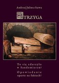 Strzyga. Opowiadanie oparte na faktach - ebook