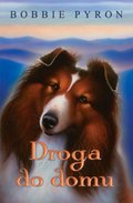 Droga do domu - ebook