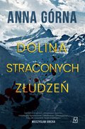 Dolina straconych złudzeń - ebook