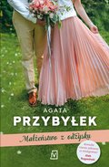 Małżeństwo z odzysku - ebook