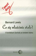 Co się właściwie stało? O kontaktach Zachodu ze światem islamu - ebook