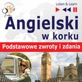 Angielski w korku. Podstawowe zwroty i zdania - audiobook