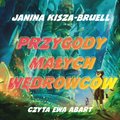 Przygody Małych Wędrowców - audiobook