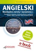 Angielski. Niezbędne zwroty i wyrażenia - ebook