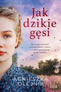 Jak dzikie gęsi - ebook