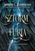 Sztorm i furia - ebook