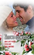 Zimowe opowieści - ebook