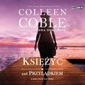 Nad zatoką. Tom 2. Księżyc nad przylądkiem - audiobook