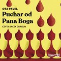 Puchar od Pana Boga - audiobook