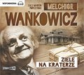 Ziele na kraterze - audiobook