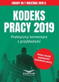 Kodeks pracy 2019.Praktyczny komentarz z przykładami wyd.3 - ebook