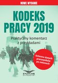 Kodeks pracy 2019. Praktyczny komentarz z przykładami. Wyd.2 - ebook