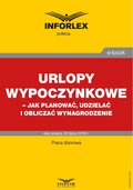 Urlopy wypoczynkowe - jak planować, udzielać i obliczać wynagrodzenie  - ebook