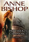 Przymierze Ciemności - ebook