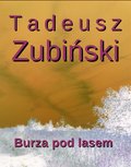 Burza pod lasem - ebook