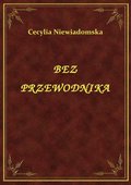 Bez Przewodnika - ebook