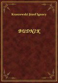 Budnik - ebook