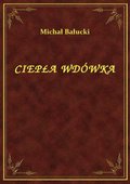 Ciepła Wdówka - ebook