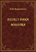 Dzieci Pana Majstra - ebook