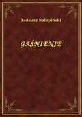 Gaśnienie - ebook