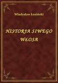 Historja Siwego Włosa - ebook