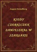 Kiedy Czerniczek Zamieszkał W Szakłaku - ebook