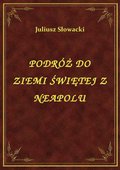 Podróż Do Ziemi Świętej Z Neapolu - ebook