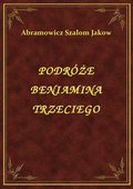 Podróże Beniamina Trzeciego - ebook