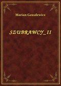 Szubrawcy II - ebook