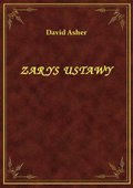 Zarys Ustawy - ebook