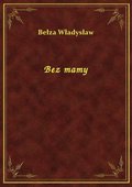 Bez mamy - ebook