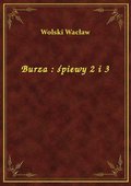 Burza : śpiewy 2 i 3 - ebook