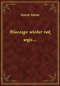 Dlaczego wicher tak wyje... - ebook