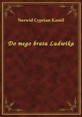 Do mego brata Ludwika - ebook