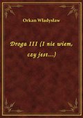 Droga III (I nie wiem, czy jest...) - ebook