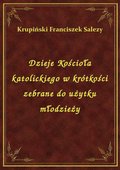 Dzieje Kościoła katolickiego w krótkości zebrane do użytku młodzieży - ebook