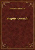 Fragment powieści - ebook