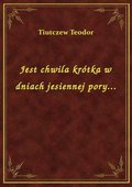 Jest chwila krótka w dniach jesiennej pory... - ebook