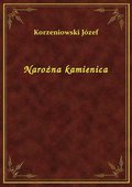 Narożna kamienica - ebook