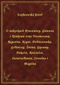 O zabytkach Kruszwicy, Gniezna i Krakowa oraz Trzemeszna, Rogoźna, Kcyni, Dobieszewka, Gołańczy, Żnina, Gąsawy, Pakości, Kościelca, Inowrocławia, Strzelna i Mogilna - ebook