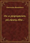 Oto w pielgrzymstwie, jak okowny ołów... - ebook