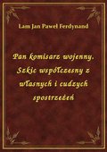 Pan komisarz wojenny. Szkic współczesny z własnych i cudzych spostrzeżeń - ebook