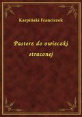 Pasterz do owieczki straconej - ebook