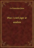 Pies i cień jego w wodzie - ebook