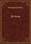 Po burzy - ebook